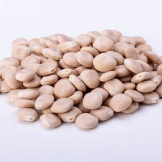 תורמוס מתוק שקיל